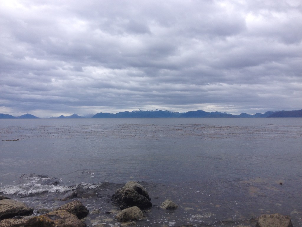 Our view at lunch - looking out at Tierra del Fuego